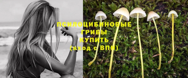 дурь Бугульма