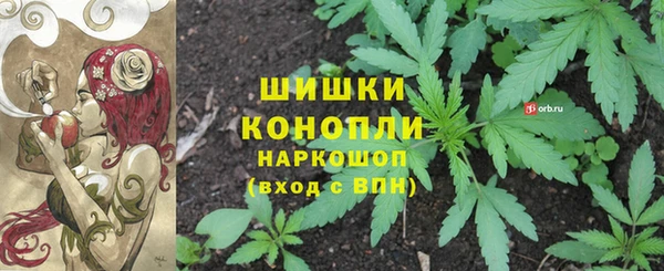 прущие крисы Бородино