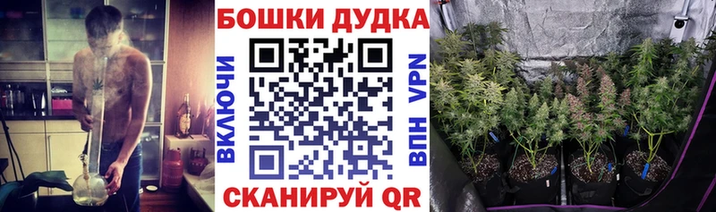 где продают наркотики  Заволжск  Канабис VHQ 